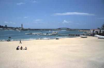 Alexandria13