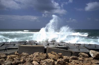 Alexandria14