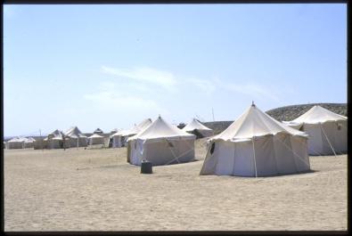 ElNaba07