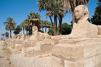 Luxor150