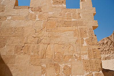 Luxor176