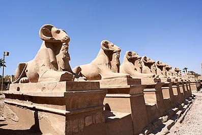 Luxor228