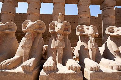 Luxor229