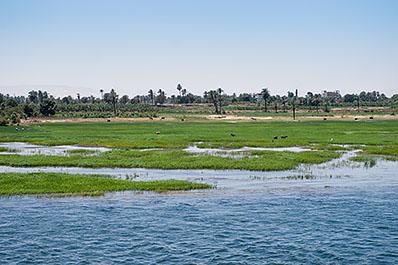 NileRiver05