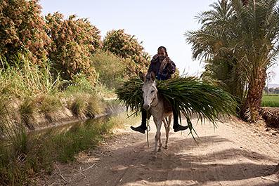 NileVillages03
