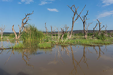 Baringo05