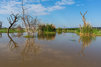 Baringo06