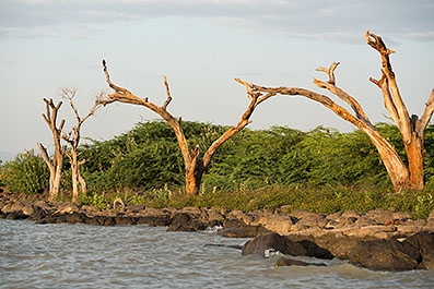 Baringo22