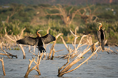 Baringo25