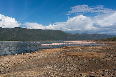 Bogoria02