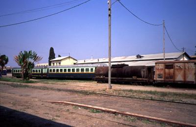 Tana27