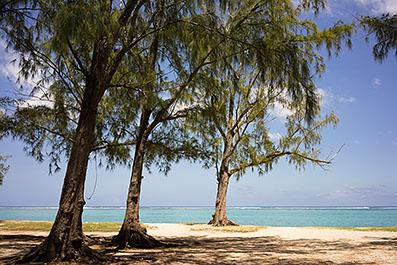 LeMorne03