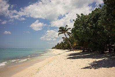 LeMorne06