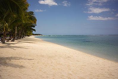 LeMorne08