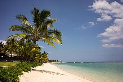 LeMorne09