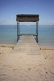 LeMorne11