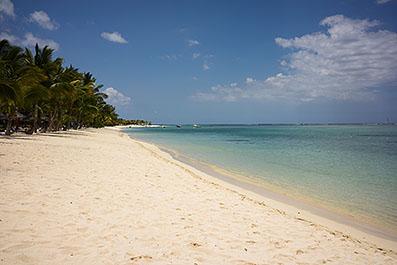 LeMorne13