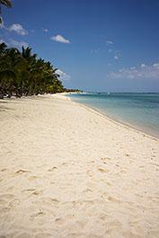 LeMorne14