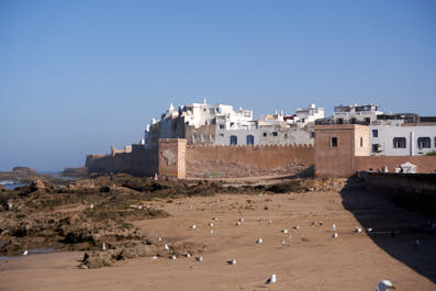 Essaouira208
