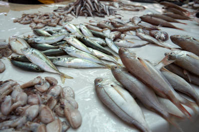 Essaouira224