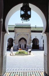 Fez55