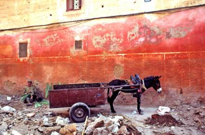 Marrakech021