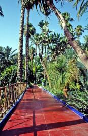 Marrakech079
