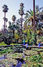 Marrakech081