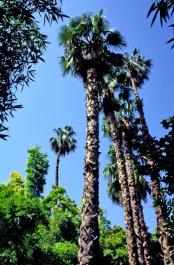 Marrakech097