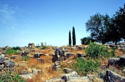 Volubilis18