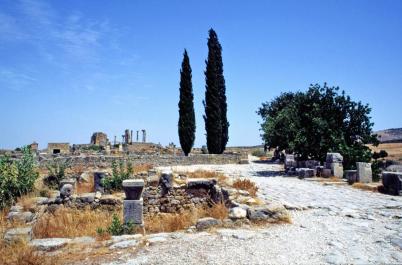 Volubilis19