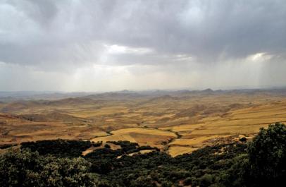 Volubilis22