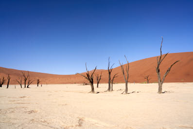 Swakopmund05