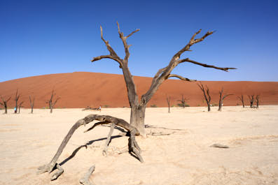 Swakopmund06