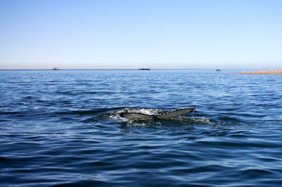 WalvisBay10