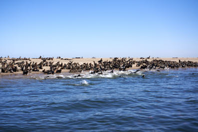 WalvisBay13