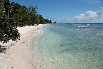 LaDigue05