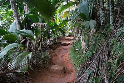 Praslin04