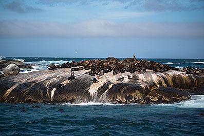 CapeArea09