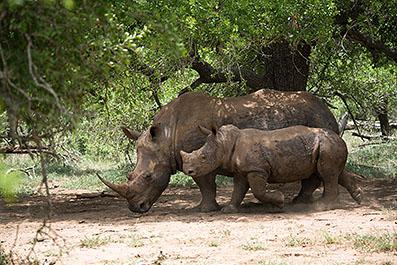 Swaziland09