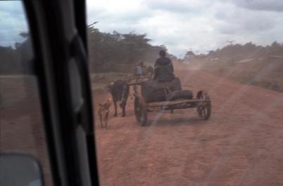Tanzania005