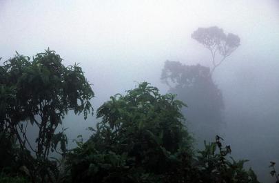 Tanzania134