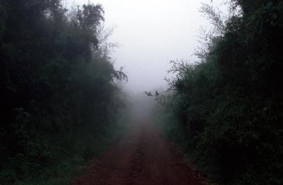 Tanzania135