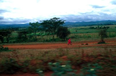 Tanzania137
