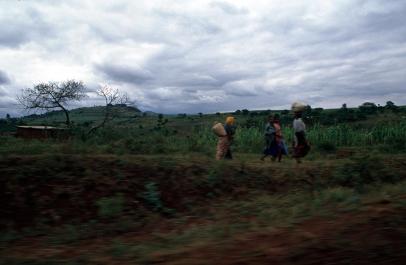 Tanzania139