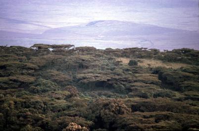 Tanzania010