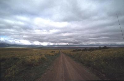 Tanzania011