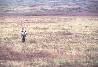 Tanzania015
