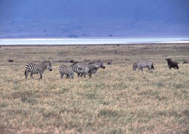 Tanzania018