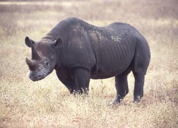 Tanzania023